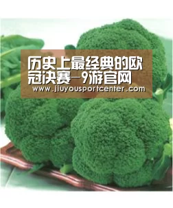历史上最经典的欧冠决赛-9游官网(图4)